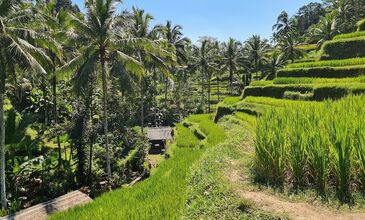 Bali & Ubud Turu Rotası