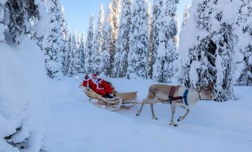 Süper Promo Lapland Turu Beyaz Rotalar (3 Gece)